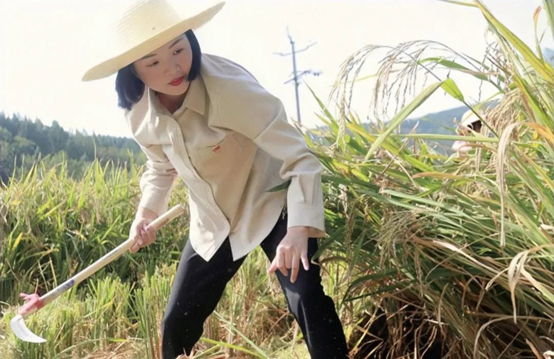 邓小燕： 择一事终一生只为稻花香