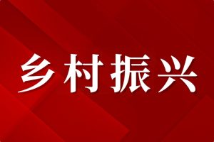 乡村公益慈善组织建设路径探索